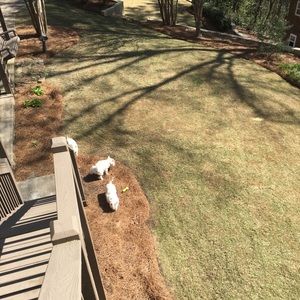 Meet your Posher, Erika